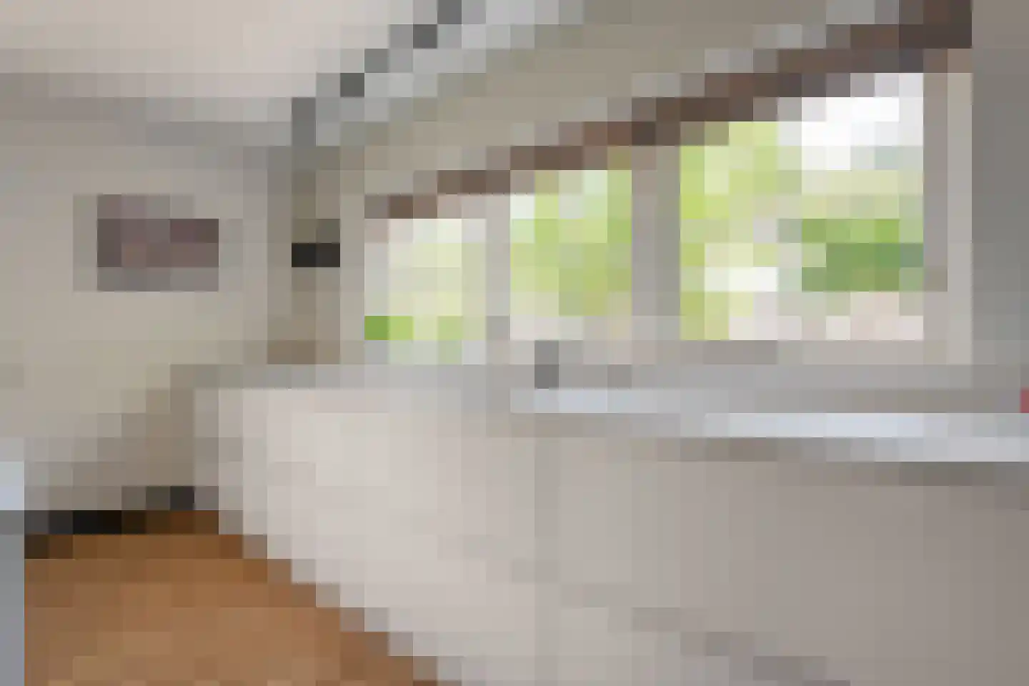 Ommerweg 18 a Zuidwolde thumbnail 38