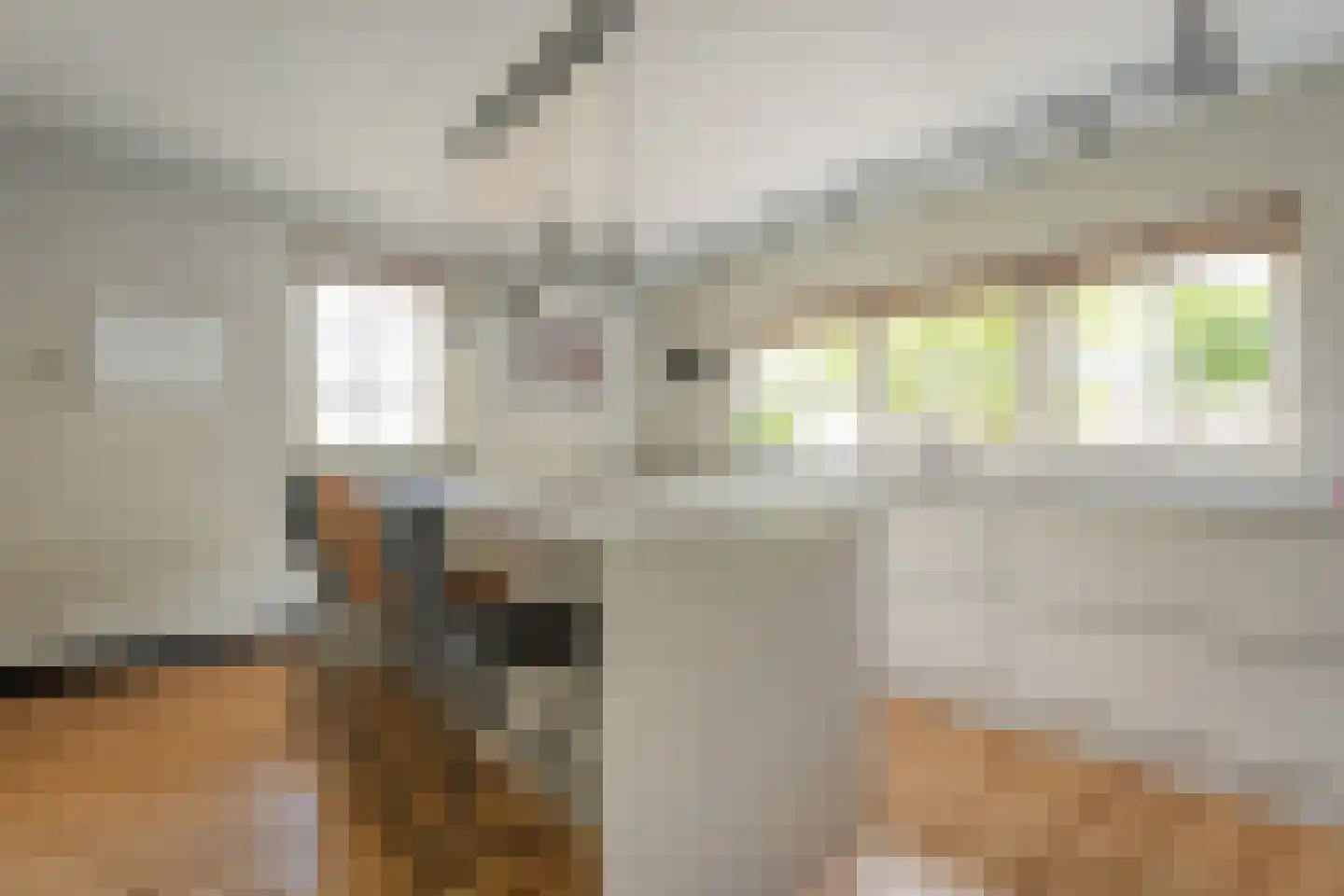 Ommerweg 18 a Zuidwolde thumbnail 4