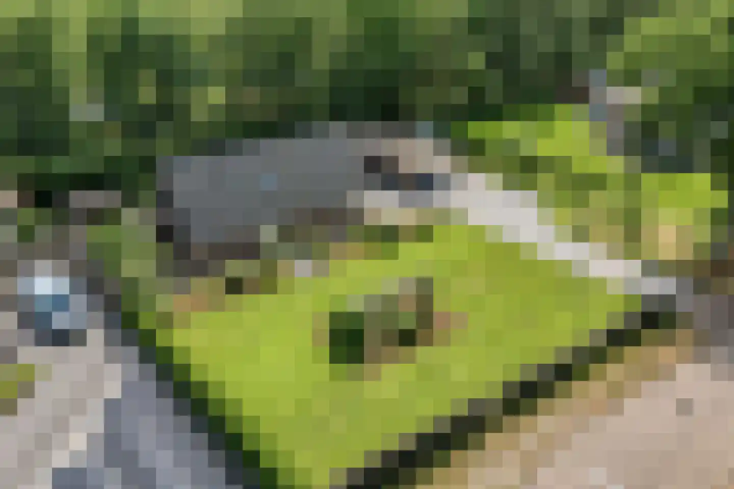 Ommerweg 18 a Zuidwolde thumbnail 6