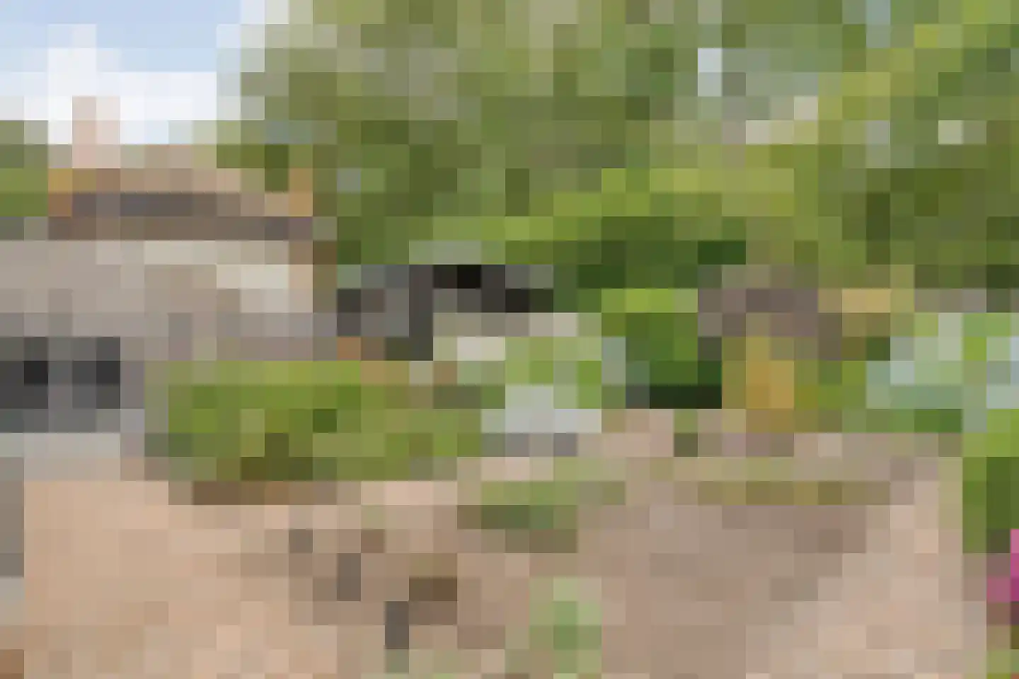 Ommerweg 18 a Zuidwolde thumbnail 62