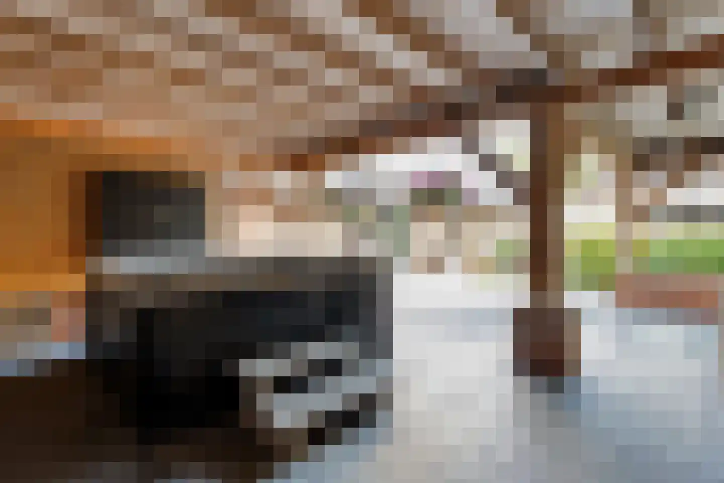 Ommerweg 18 a Zuidwolde thumbnail 69