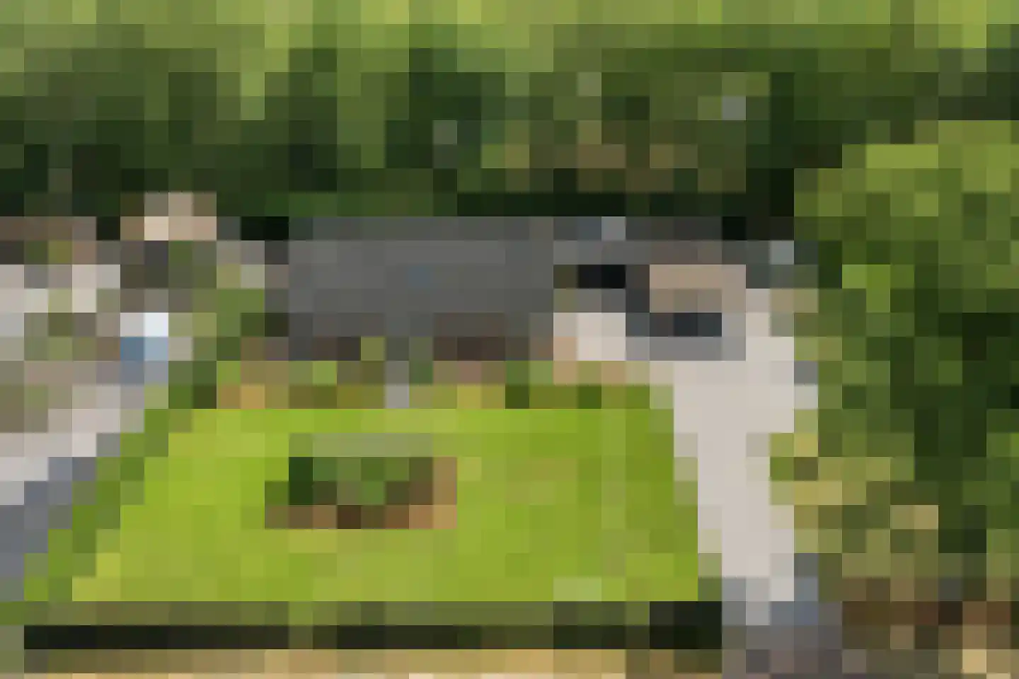 Ommerweg 18 a Zuidwolde thumbnail 71