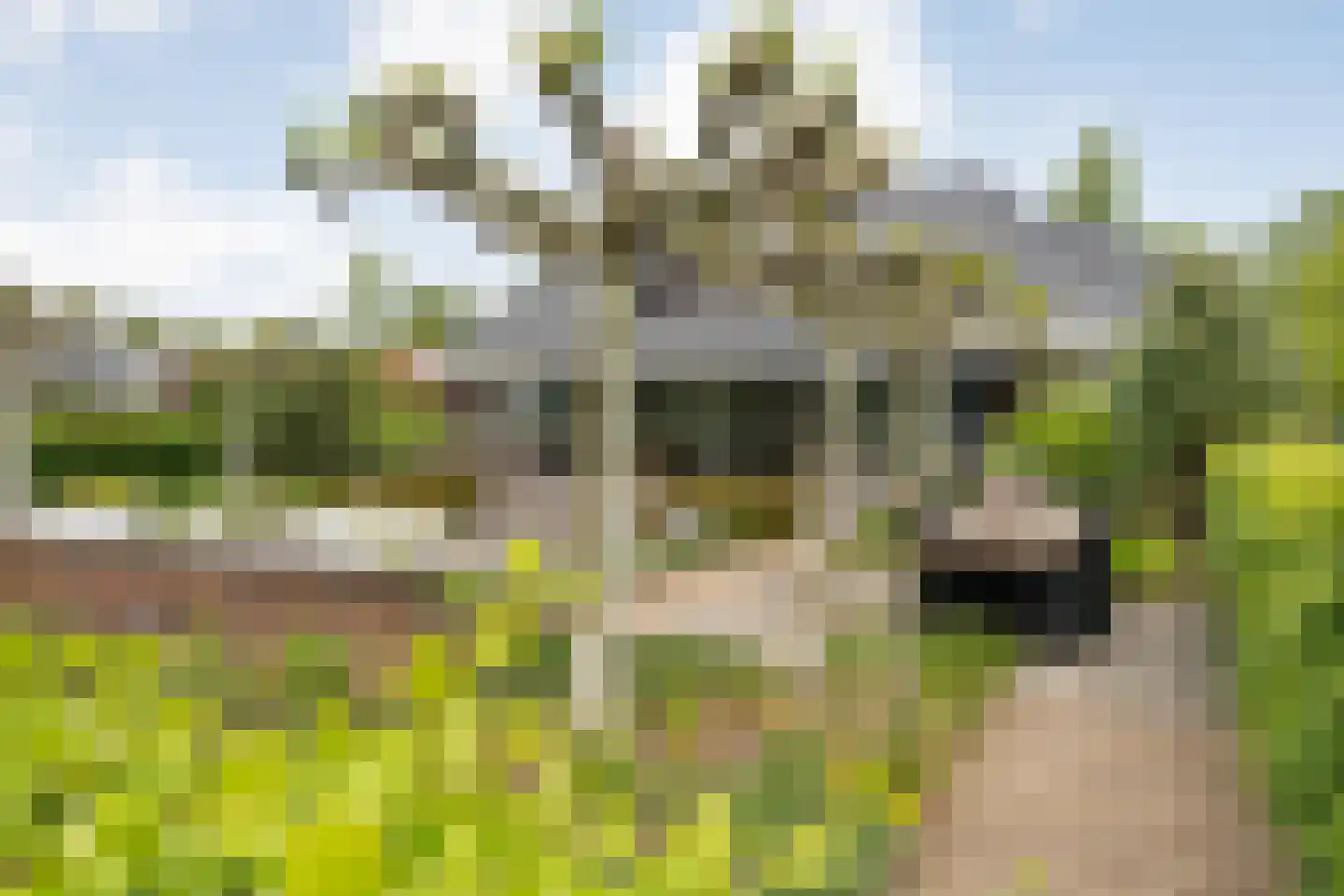 Ommerweg 23 Hellendoorn thumbnail 41