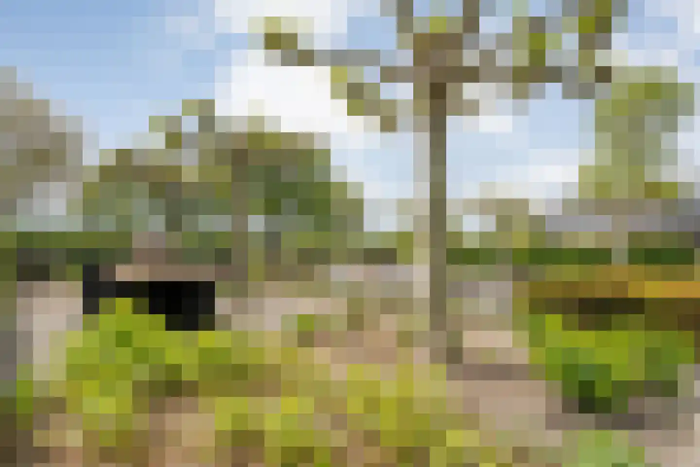 Ommerweg 23 Hellendoorn thumbnail 42