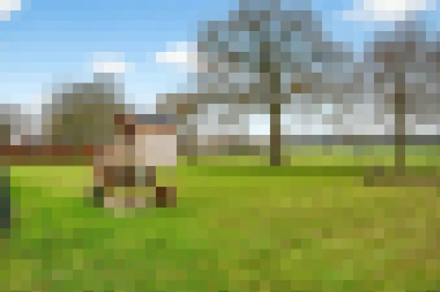 Ommerweg 23 Hellendoorn thumbnail 47
