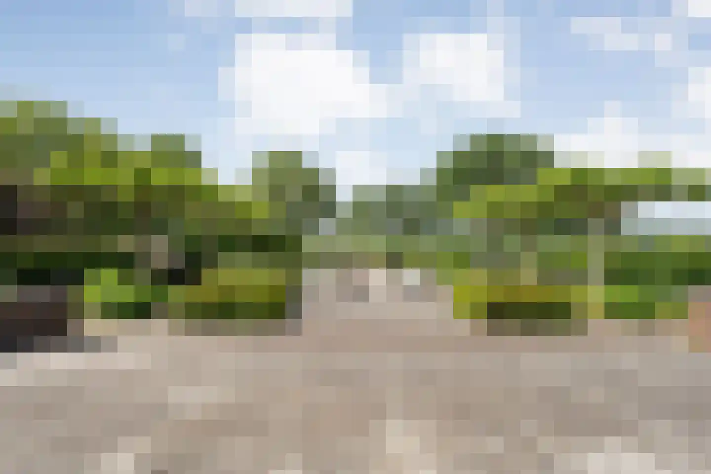 Ommerweg 23 Hellendoorn thumbnail 59