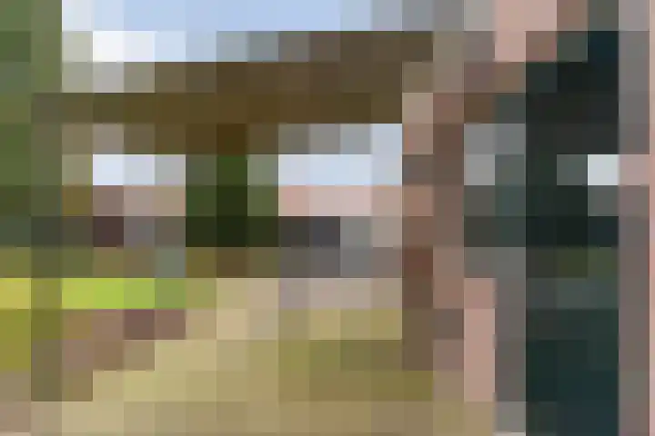 Ommerweg 29 Balkbrug thumbnail 47