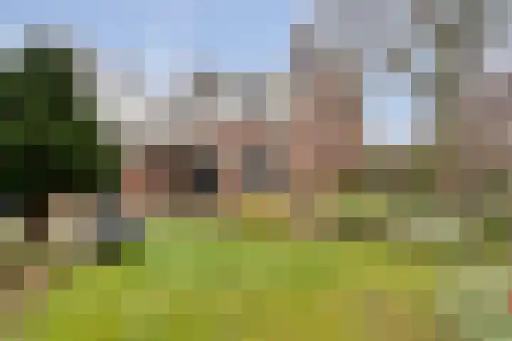 Ommerweg 29 Balkbrug thumbnail 5