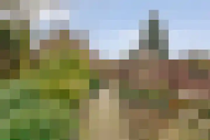 Ommerweg 29 Balkbrug thumbnail 50