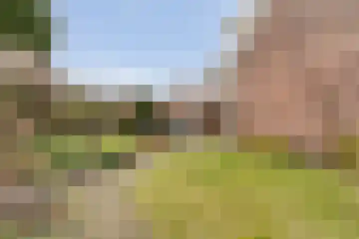 Ommerweg 29 Balkbrug thumbnail 51
