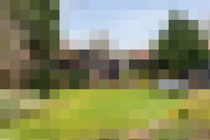 Ommerweg 29 Balkbrug thumbnail 53