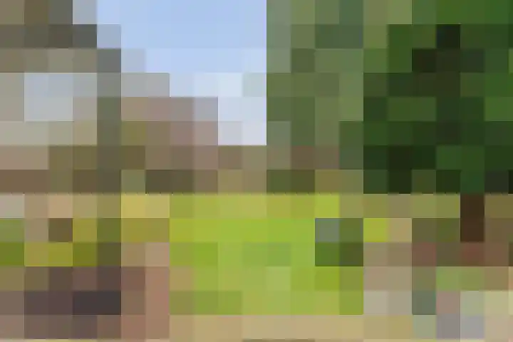 Ommerweg 29 Balkbrug thumbnail 54