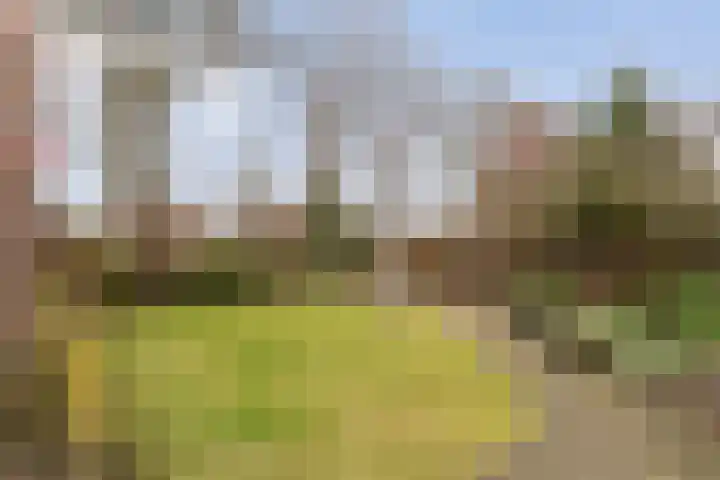 Ommerweg 29 Balkbrug thumbnail 55