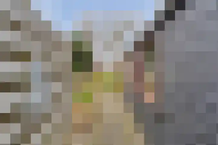 Ommerweg 29 Balkbrug thumbnail 58