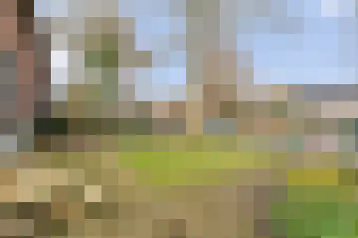 Ommerweg 29 Balkbrug thumbnail 6