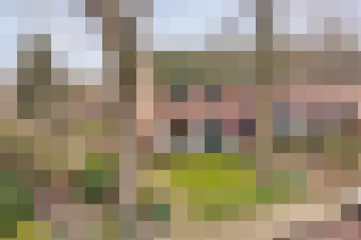Ommerweg 29 Balkbrug thumbnail 62