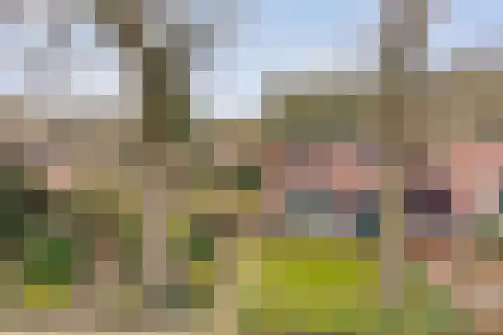 Ommerweg 29 Balkbrug thumbnail 63