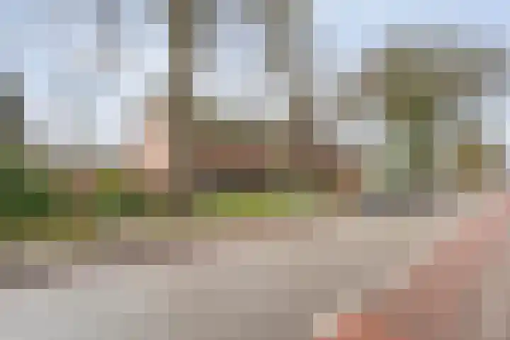Ommerweg 29 Balkbrug thumbnail 64