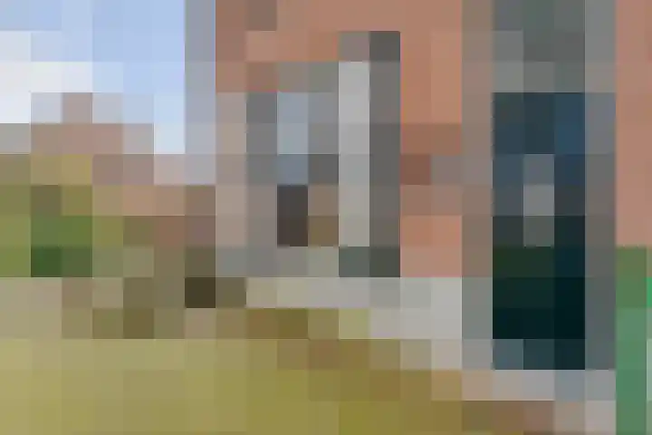Ommerweg 29 Balkbrug thumbnail 7