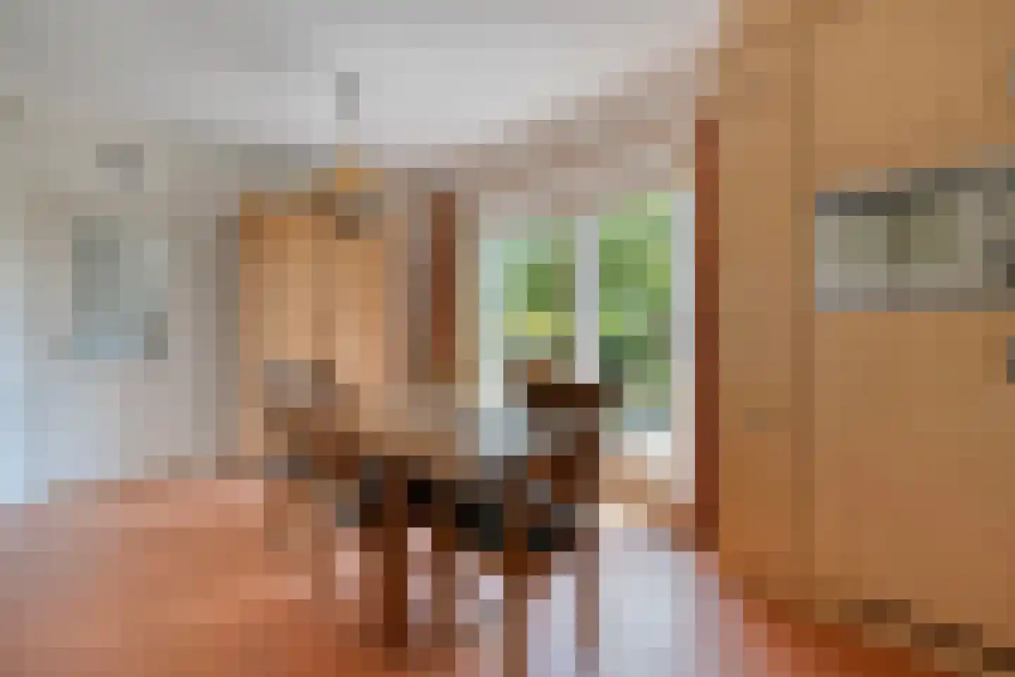 Ommerweg 40 a Zuidwolde thumbnail 15