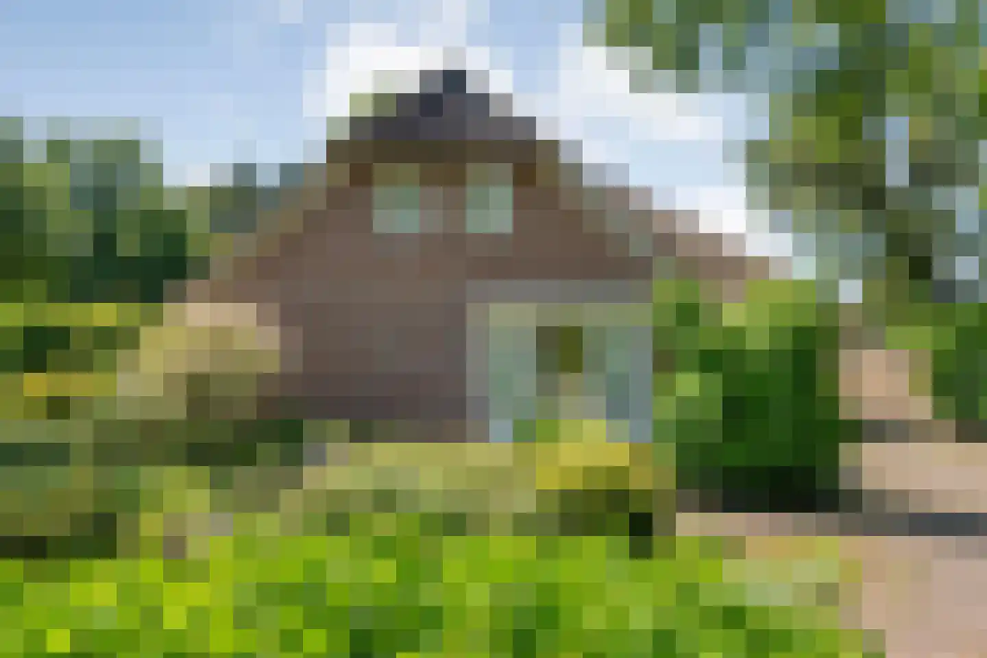 Ommerweg 40 a Zuidwolde thumbnail 4