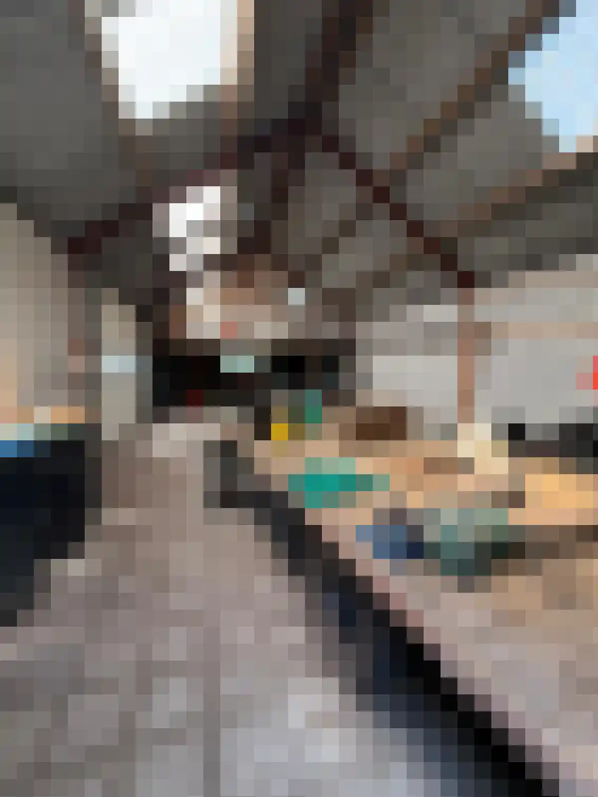 Ommerweg 40 a Zuidwolde thumbnail 54