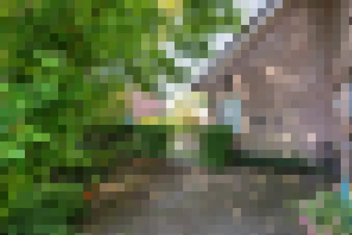 Ommerweg 40 a Zuidwolde thumbnail 59