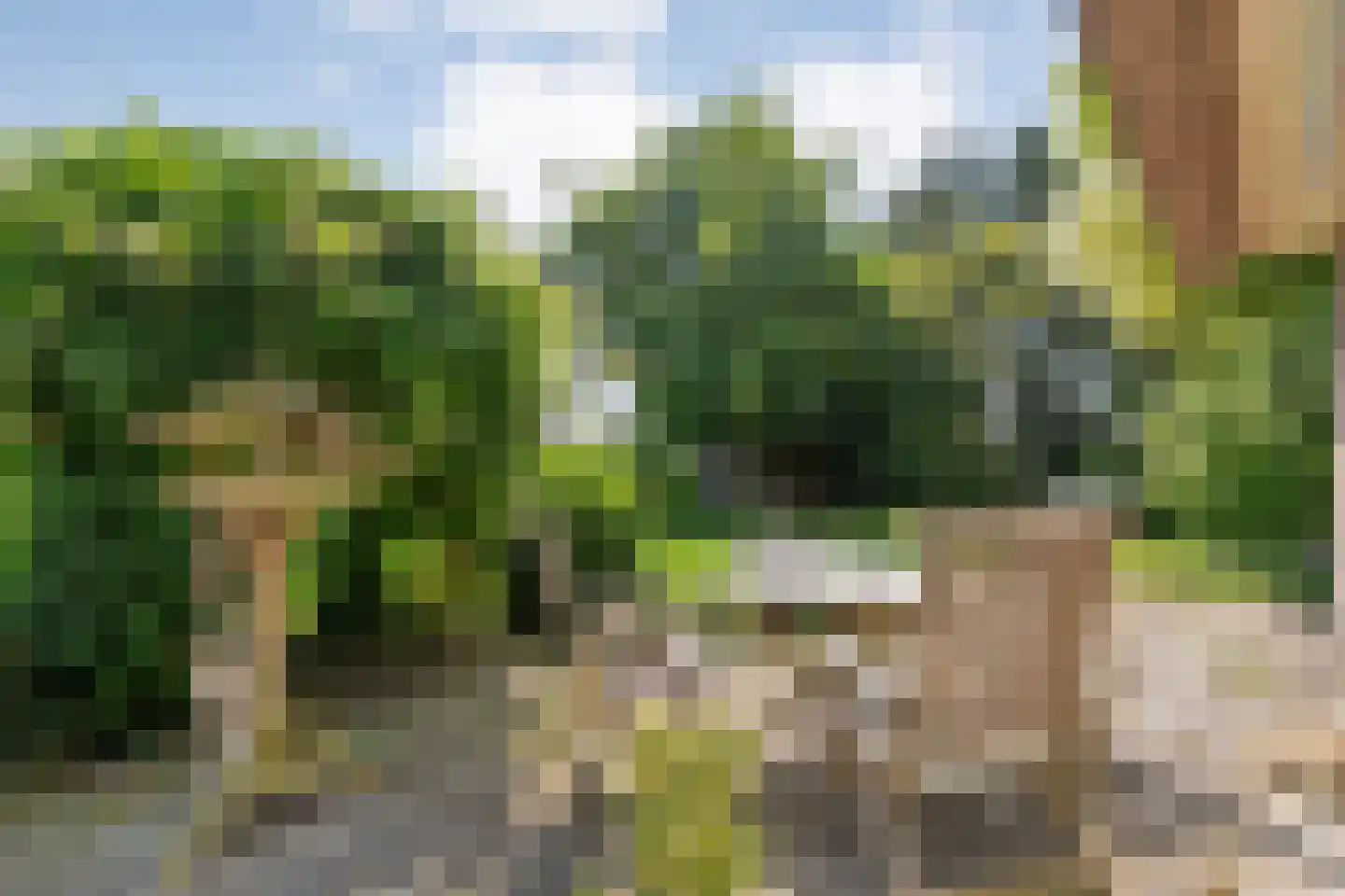 Ommerweg 40 a Zuidwolde thumbnail 61