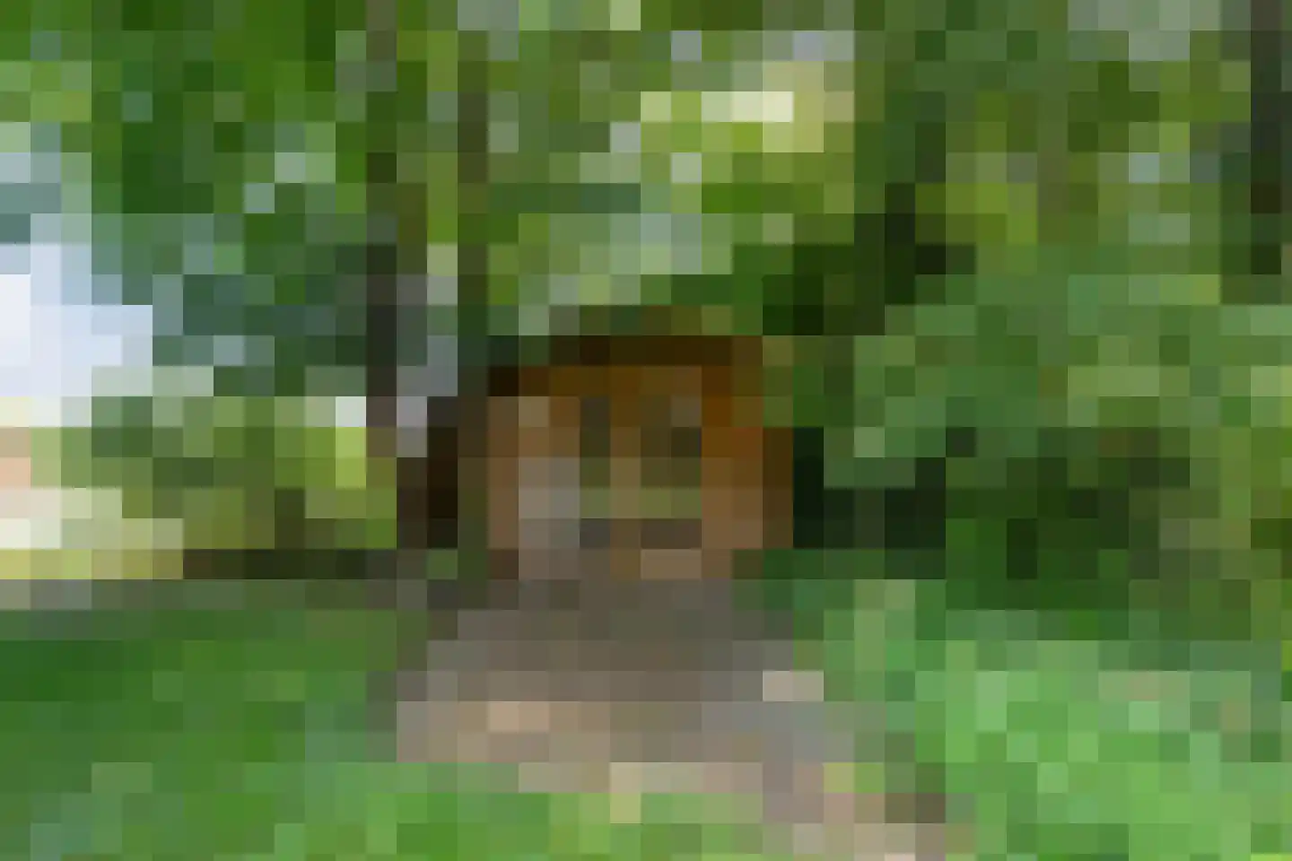 Ommerweg 40 a Zuidwolde thumbnail 62
