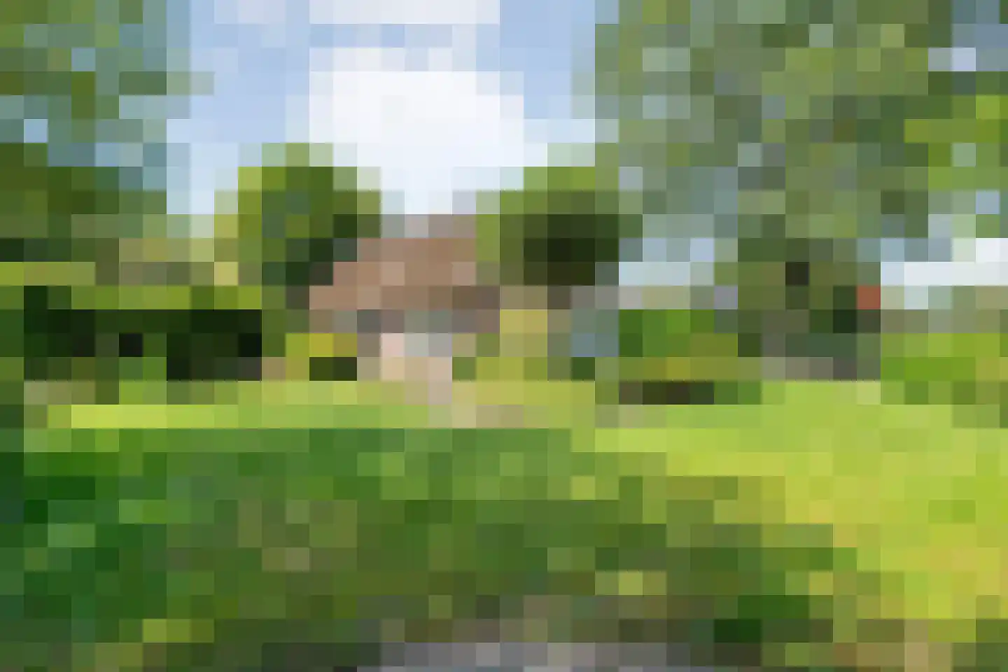 Ommerweg 40 a Zuidwolde thumbnail 64