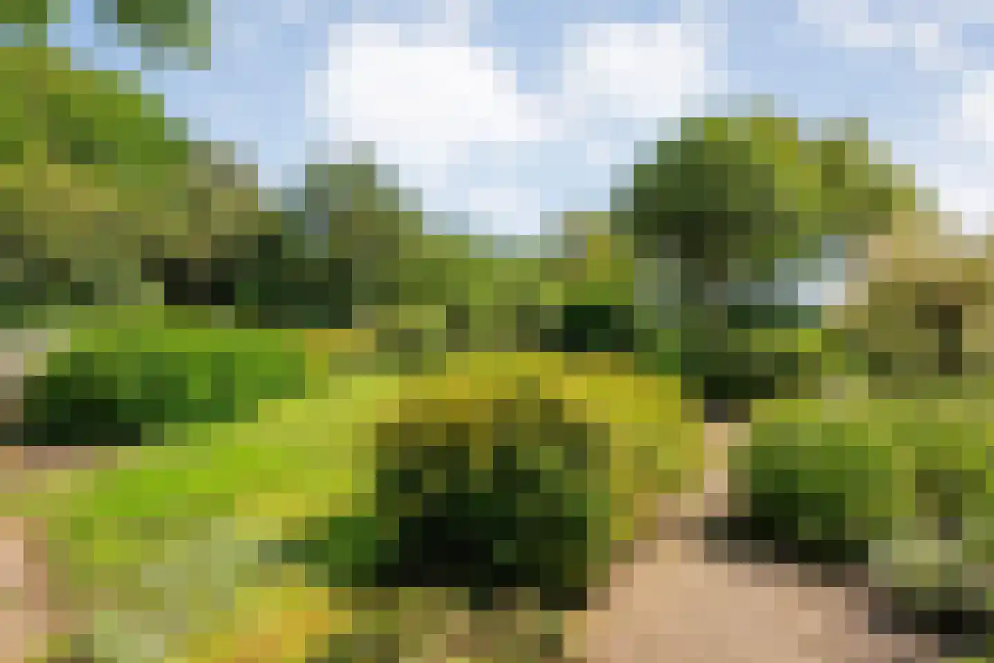 Ommerweg 40 a Zuidwolde thumbnail 65