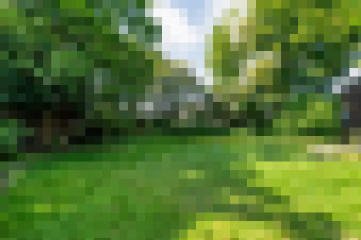Ommerweg 40 a Zuidwolde thumbnail 68
