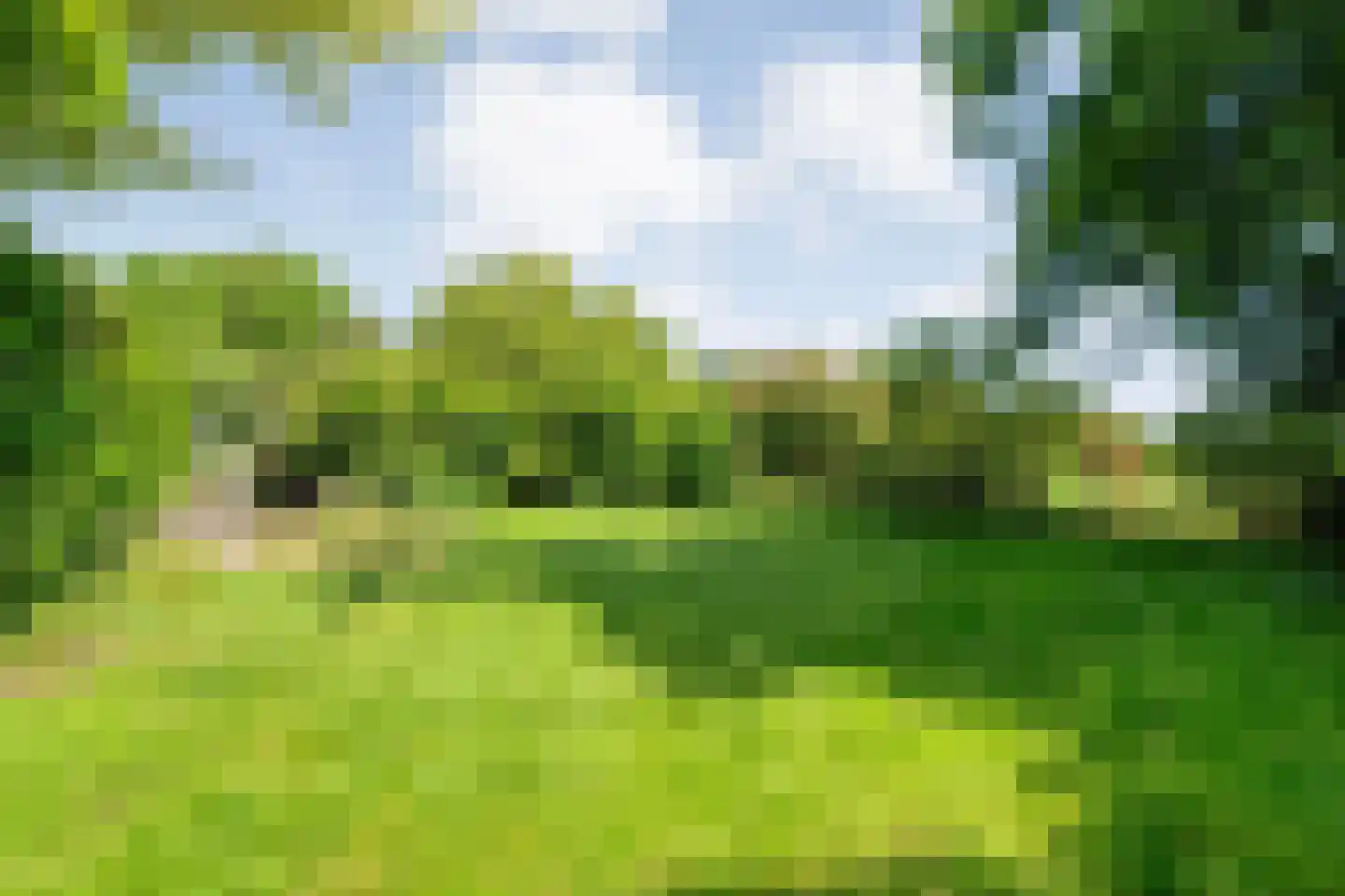 Ommerweg 40 a Zuidwolde thumbnail 69