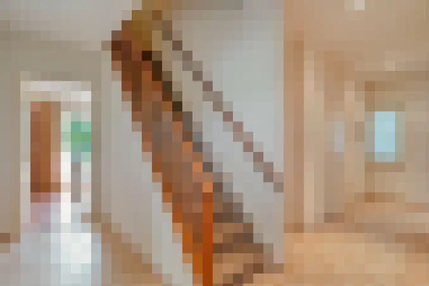 Ommerweg 40 a Zuidwolde thumbnail 7