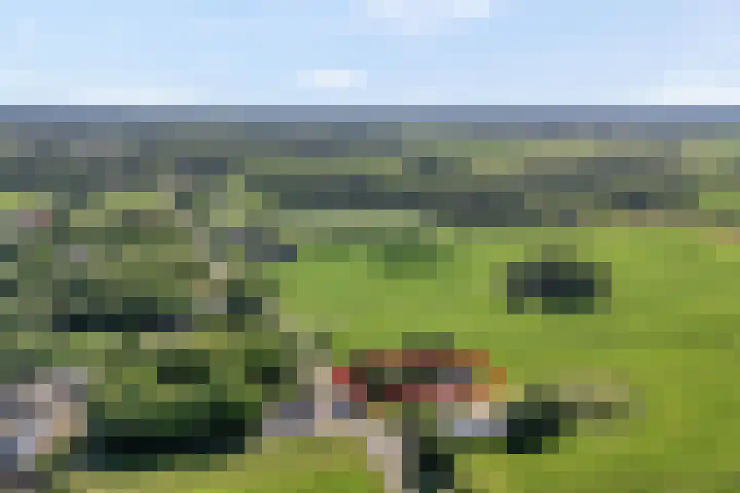 Ommerweg 40 a Zuidwolde thumbnail 73