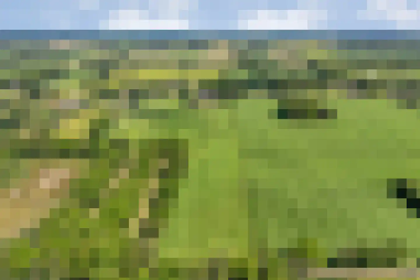 Ommerweg 40 a Zuidwolde thumbnail 74
