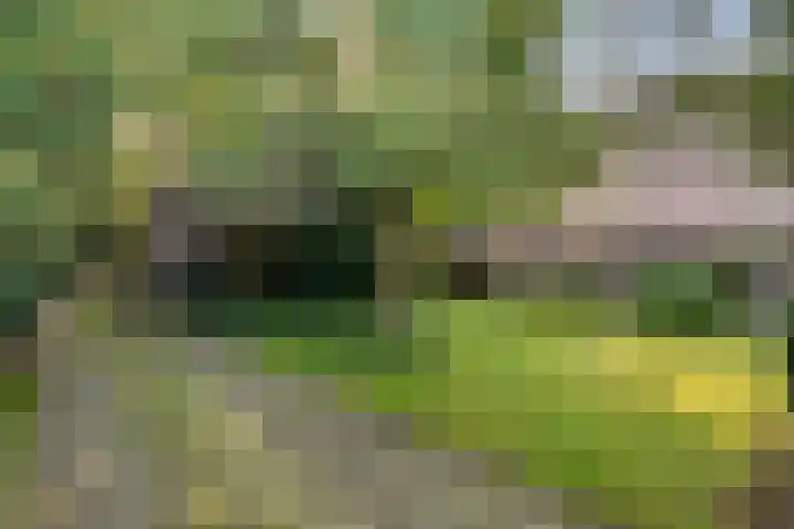 Ommerweg 41 Zuidwolde thumbnail 12