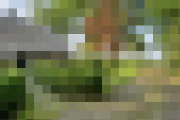 Ommerweg 41 Zuidwolde thumbnail 14