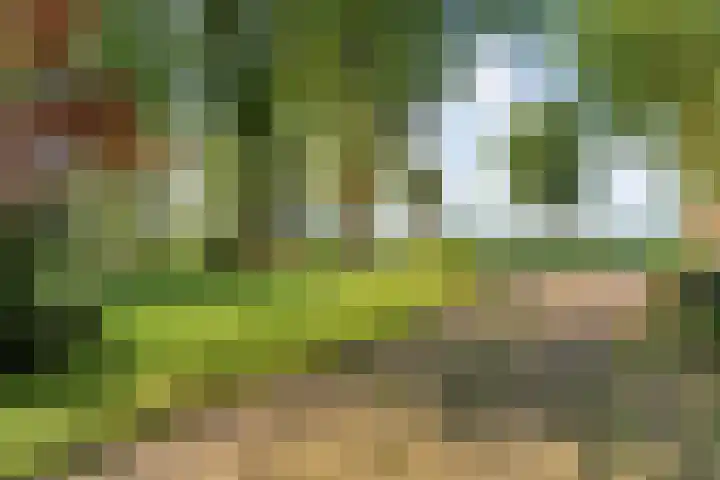 Ommerweg 41 Zuidwolde thumbnail 15