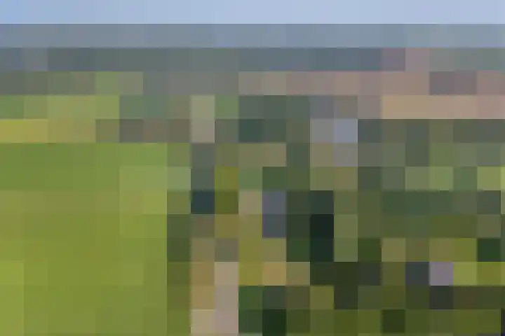 Ommerweg 41 Zuidwolde thumbnail 5