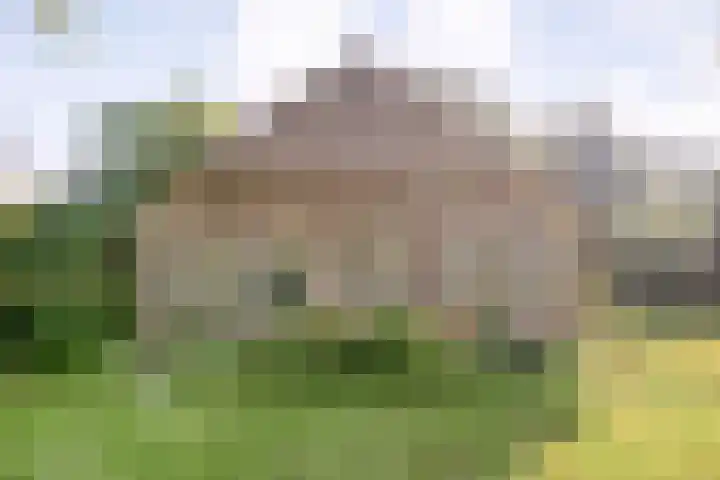 Ommerweg 41 Zuidwolde thumbnail 6