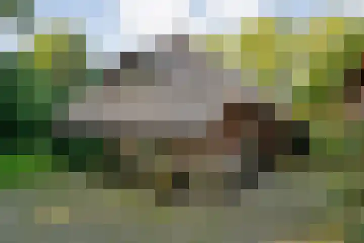 Ommerweg 41 Zuidwolde thumbnail 66