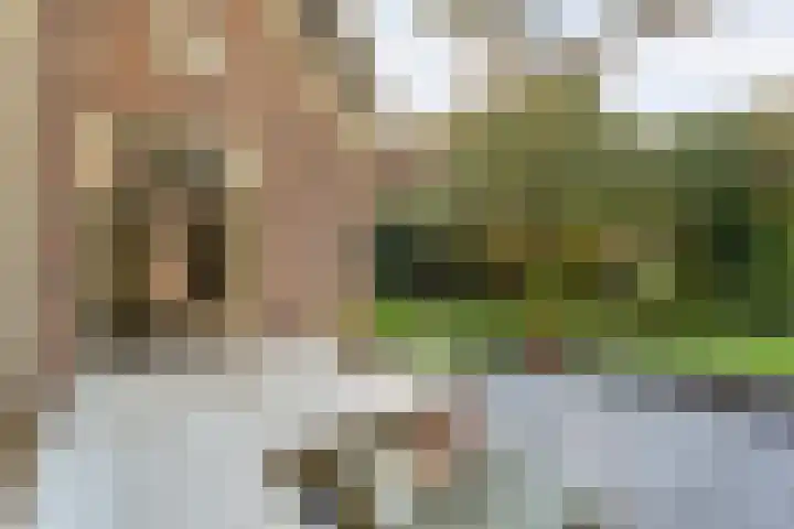 Ommerweg 41 Zuidwolde thumbnail 68