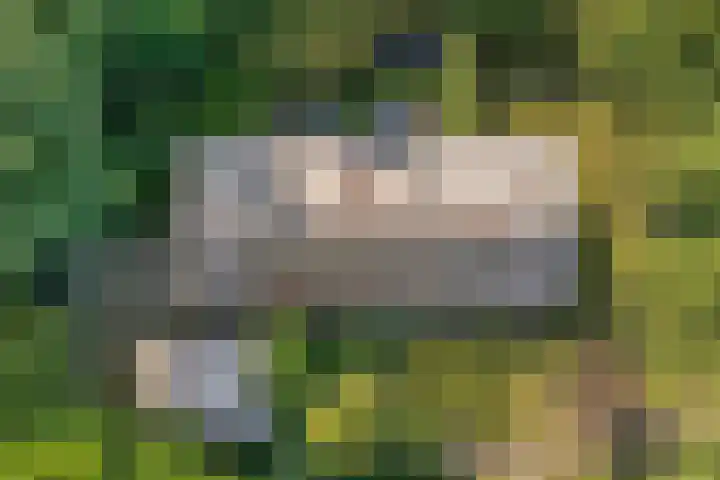 Ommerweg 41 Zuidwolde thumbnail 7