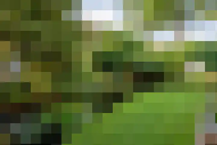 Ommerweg 41 Zuidwolde thumbnail 70
