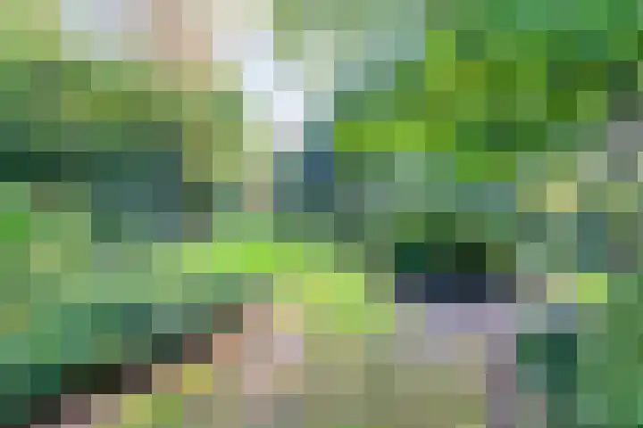 Ommerweg 41 Zuidwolde thumbnail 71