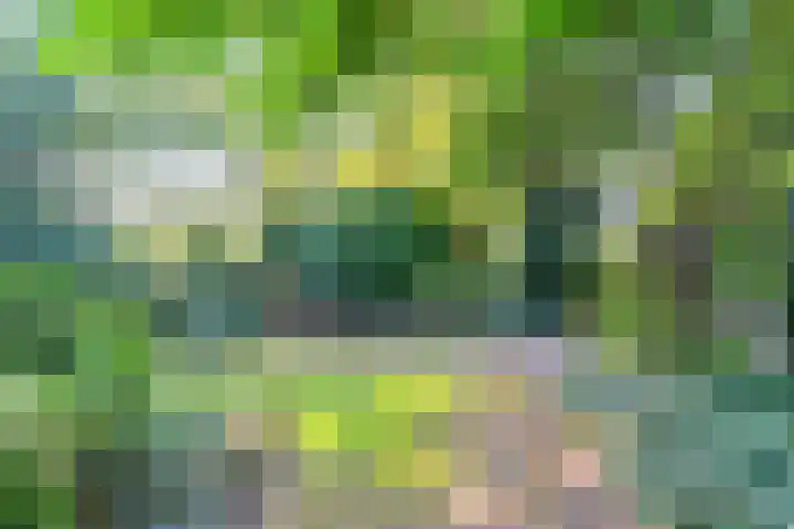 Ommerweg 41 Zuidwolde thumbnail 72