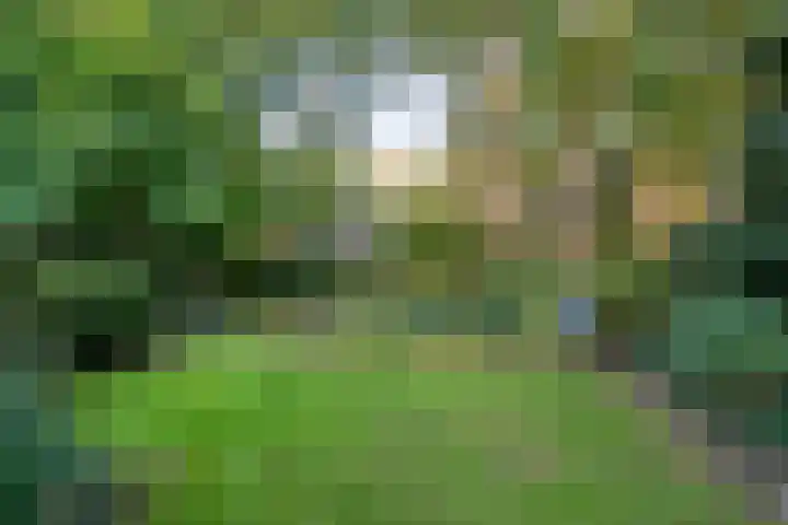 Ommerweg 41 Zuidwolde thumbnail 73