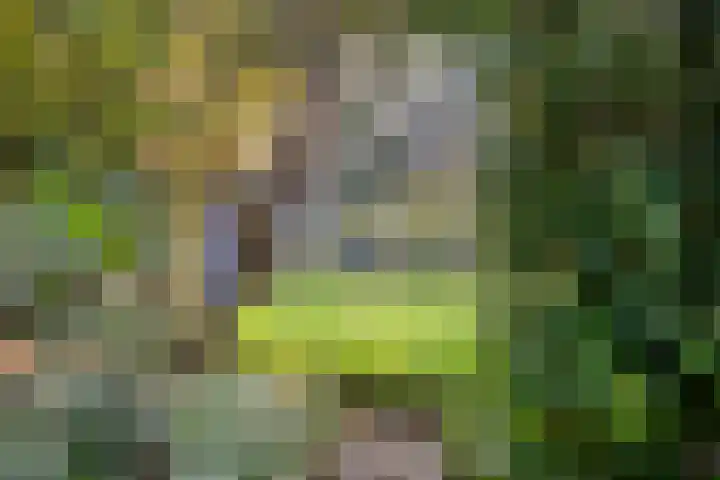 Ommerweg 41 Zuidwolde thumbnail 76