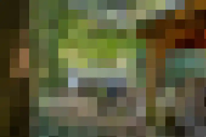 Ommerweg 41 Zuidwolde thumbnail 77